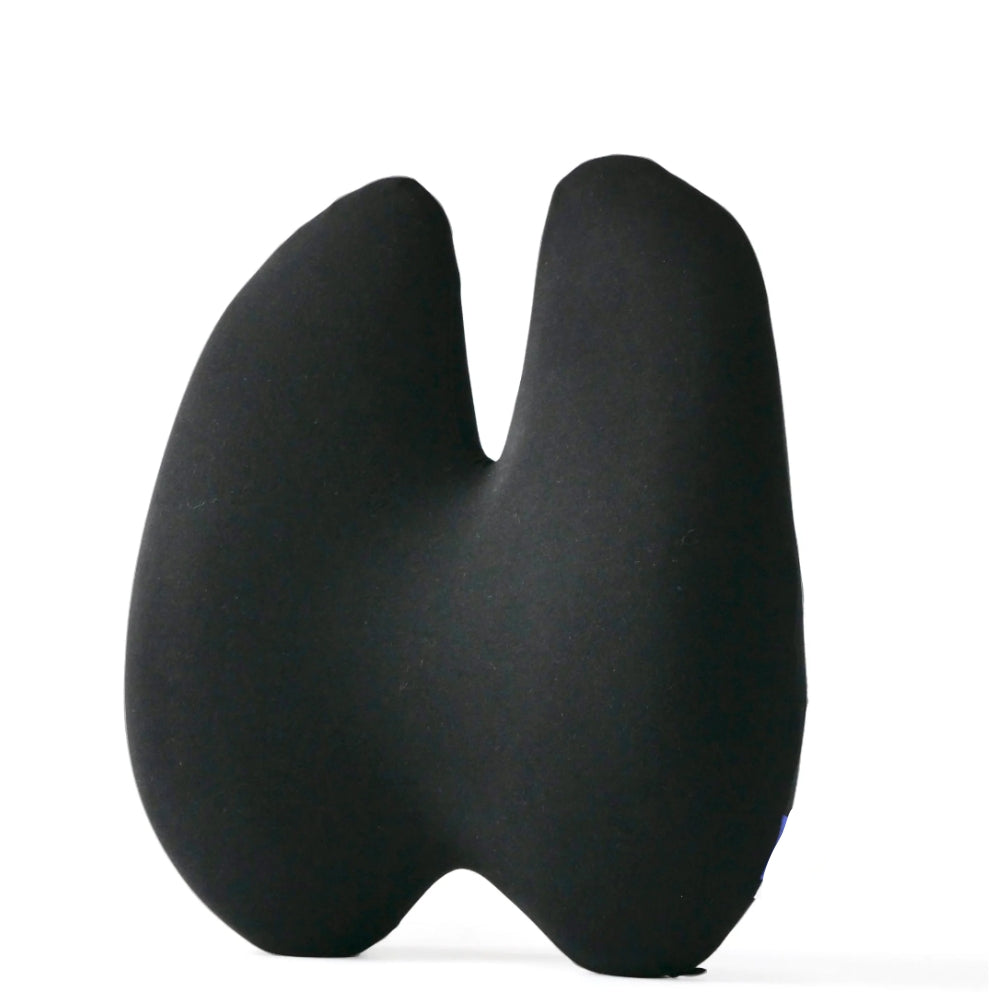 Coussin de Soutien Lombaire Odulux®