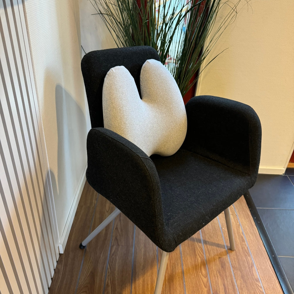 Coussin de Soutien Lombaire Odulux®