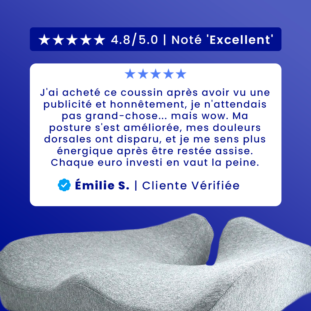 Coussin Ergonomique pour Chaise Odulux®