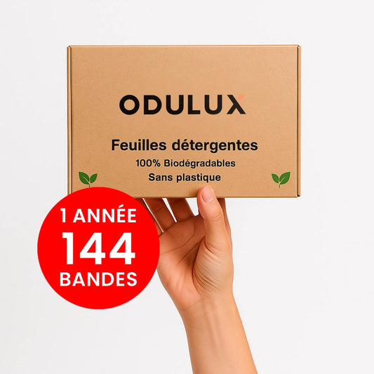 Détergent pour chaussures 1 année (144 bandes)