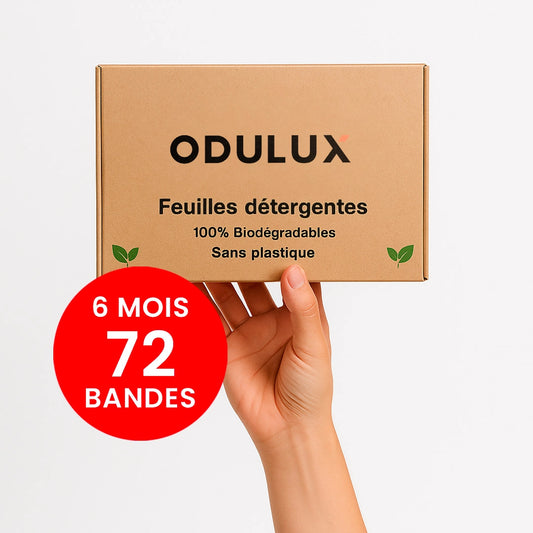 Détergent pour chaussures 6 mois (72 bandes)