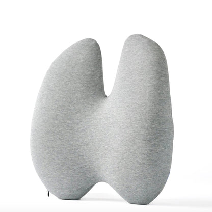 Coussin de Soutien Lombaire Odulux®